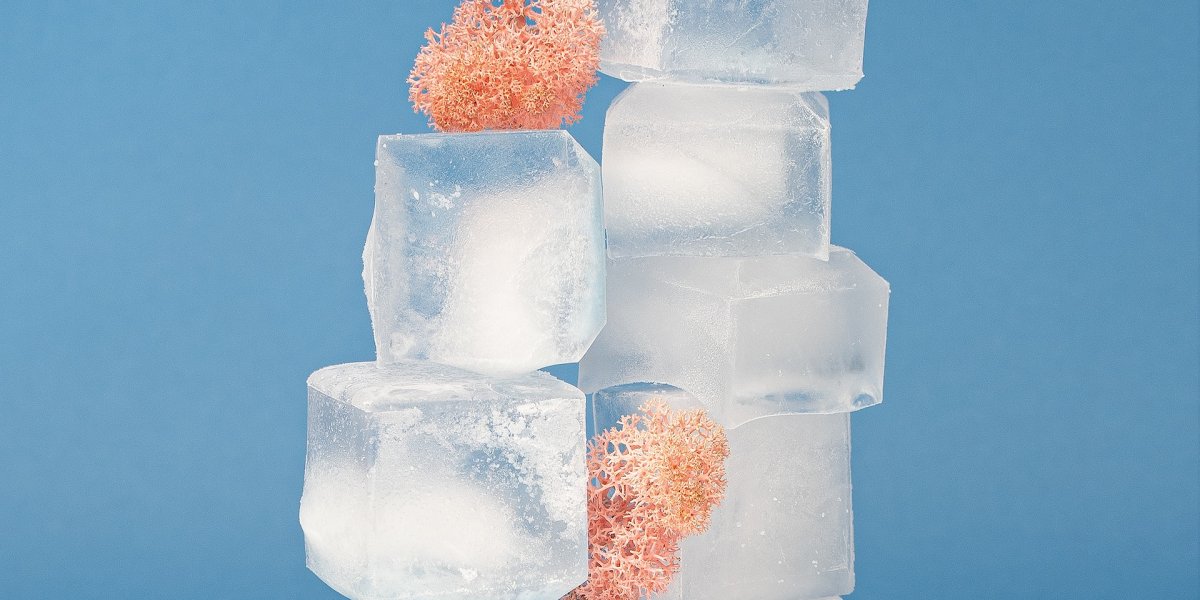 Cel mai bun set de cuburi de gheață din silicon cu forme haioase