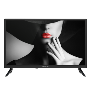 Televizor LED Diamant 24HL4300H/C